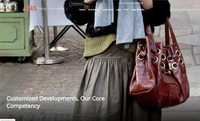 Custom website development company